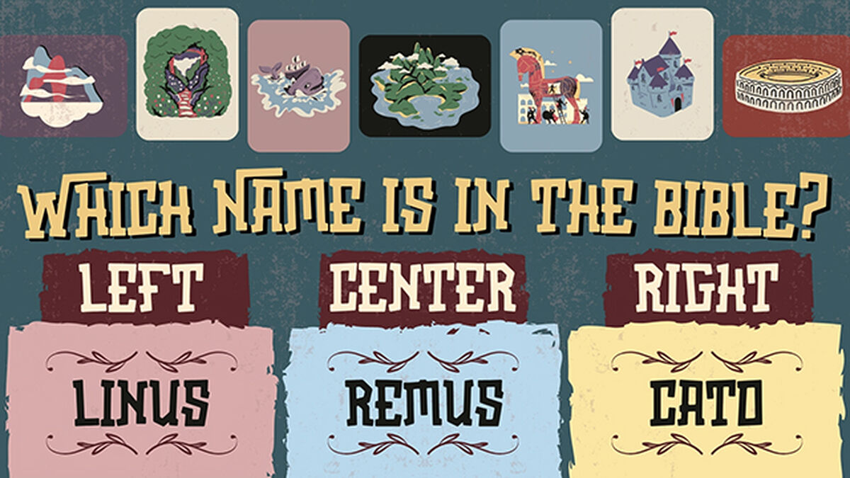 The Name Game: Volume 2 image number null